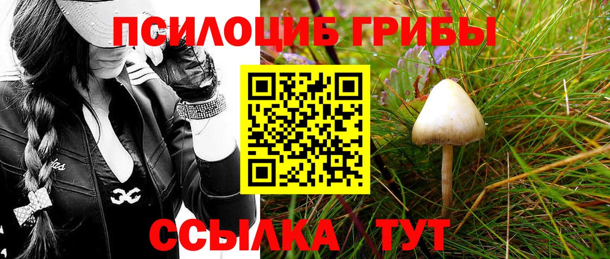 Псилоцибиновые грибы мицелий Киров