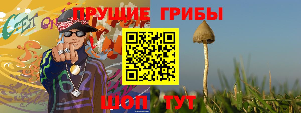 Галлюциногенные грибы Psilocybe  Вход с VPN  Киров 